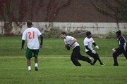 OTFL Gallery Image